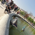 20100424 173332
